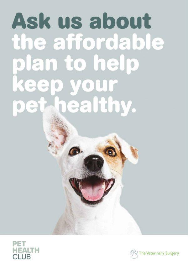 pet-health-club62de553063343